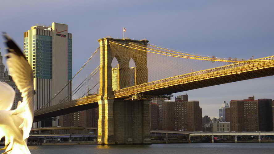 NYC_2017-11-26 15-58-37_P1140495